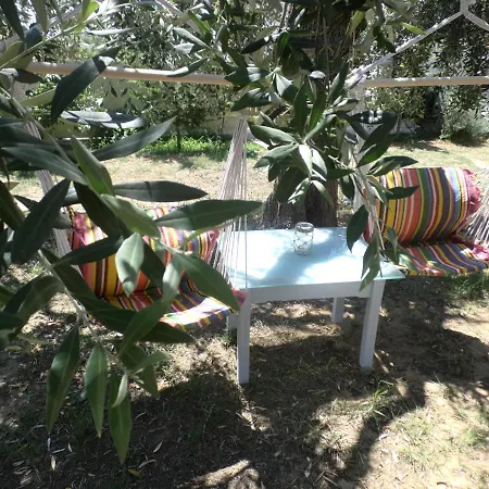 Armonia * بوتوس